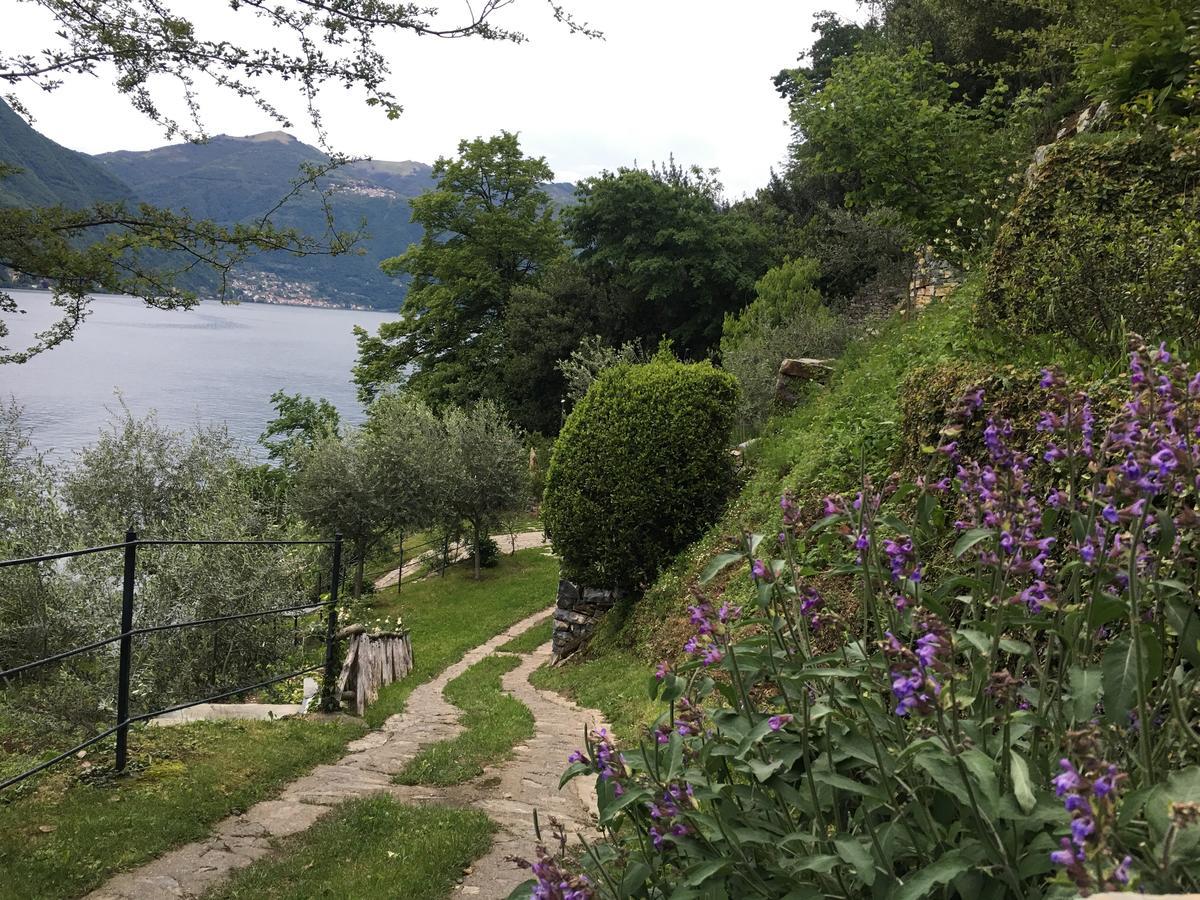 Castagna Holiday Home نيسّو المظهر الخارجي الصورة